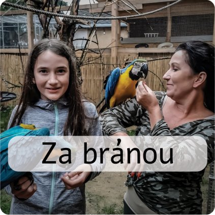 za bránou