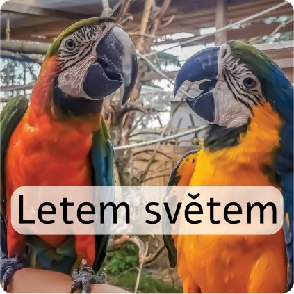 letem světem