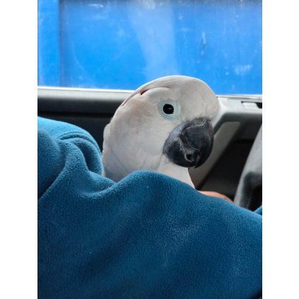 TOBÍK s TÁTOU na cestách