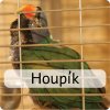 houpík