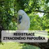 REGISTRACE ZTRACENEHO EXEMPLARE