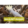 MALAJSKÝ MASAKR