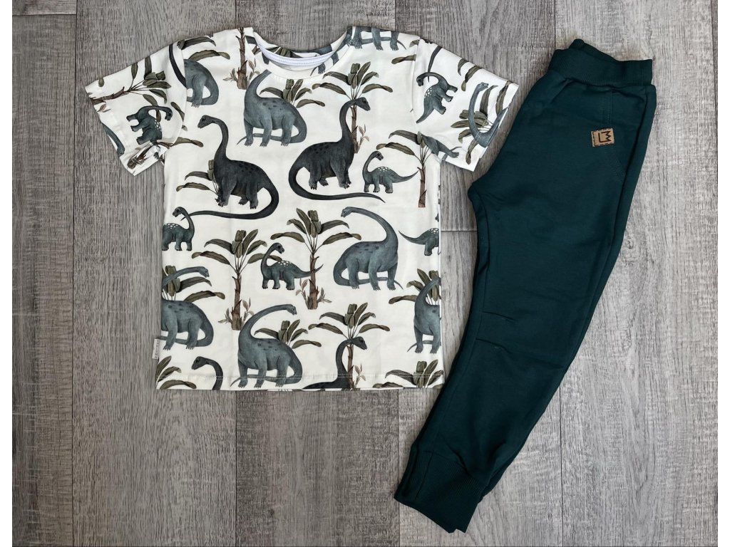 440436323 411549528497029 4687091932505154056 n