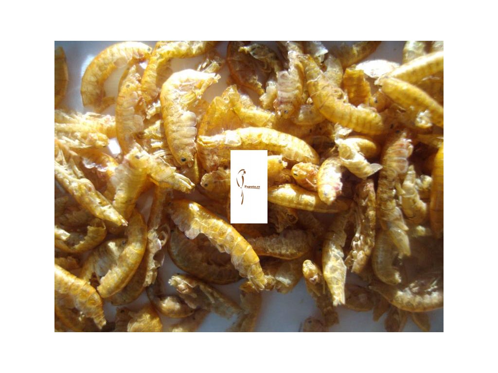 GAMMARUS - blešivec sušený hmyz 30 g