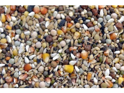 13. KLÍČENÍ/NAMÁČENÍ - MIX pestrá směs semen vhodná k namáčení či klíčení ( max. 1 x týdně) vyšší podíl bílkovin !!  (max 3-4 měsíčně)