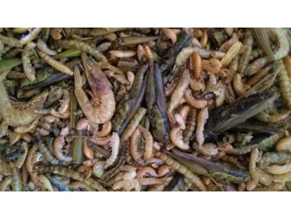 SUŠENÝ HMYZ :MIX ( např. hermetie, červi, kobylky, bourec...) HMOTNOST 50g vhodné pro střední a větší papoušky