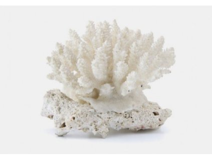 08. OrganiCaPAP - zdroj přírodního vápníku a ostatních minerálů v optimálním poměru  100g