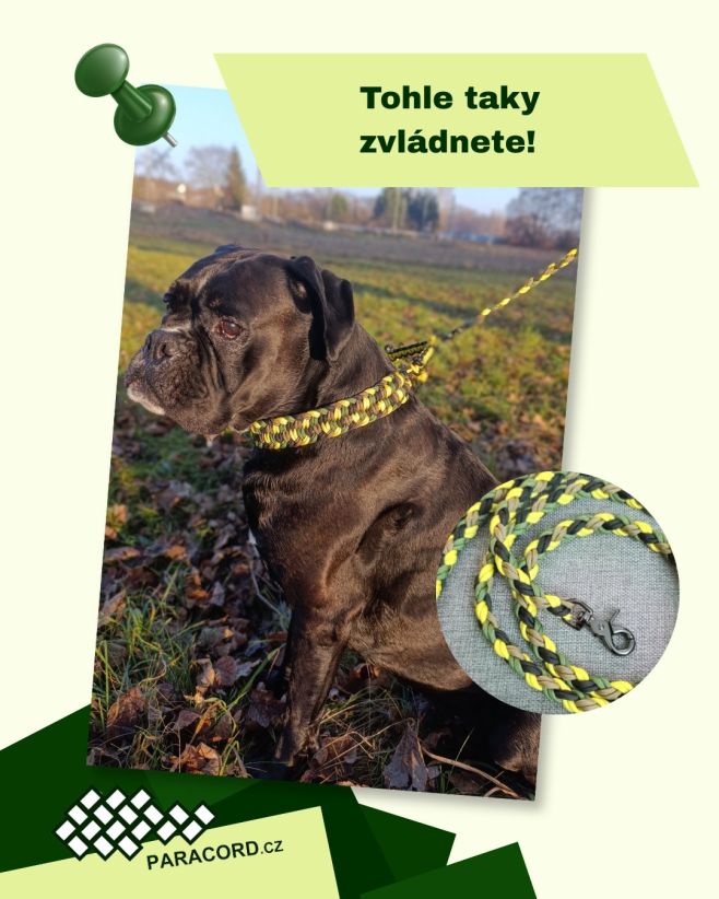 „Tohle taky zvládnete!“ 💪 A myslíme to vážně. Vyrobit si vlastní, pevné a stylové vodítko z paracordu není žádná věda,...