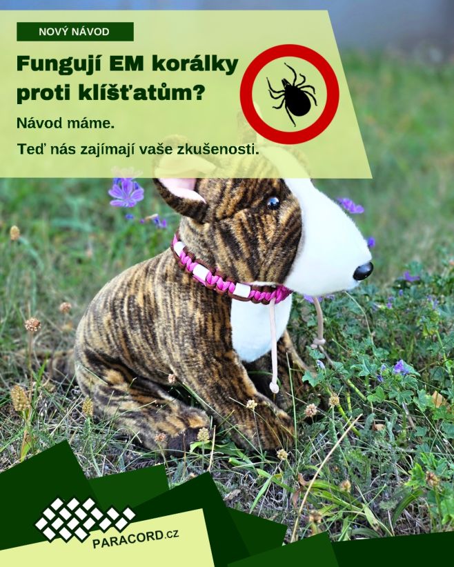 Fungují EM korálky proti klíšťatům? Jedni na ně nedají dopustit, druzí žádný rozdíl nepozorují. My jejich účinek slíbit...