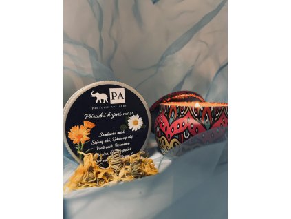 363859386 659650499552337 31286343442817809 n