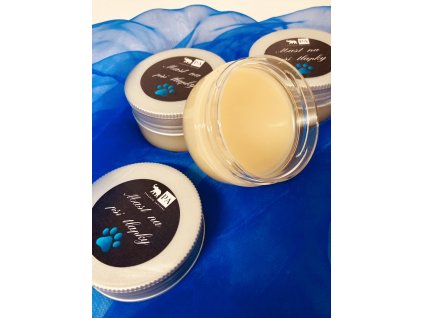 314324371 500909362093119 7852154927568097754 n