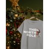 The north pole 3