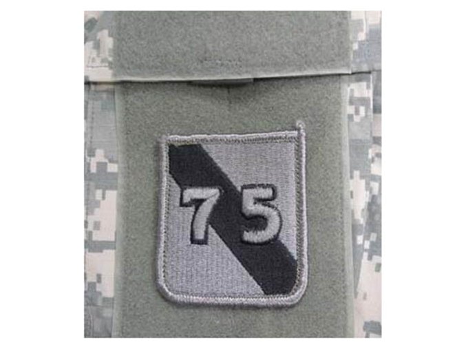 Nášivka 75th INFANTRY DIVISION VELCRO - FOLIAGE