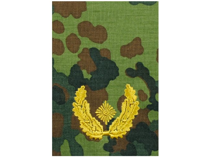 Nárameník BW BRIGADEGENERAL FLECKTARN/zlaté vyšití