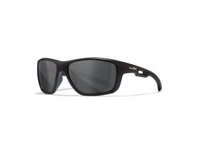acasp01 w