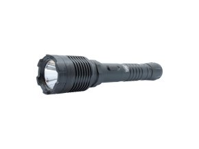 SWGSF31 main