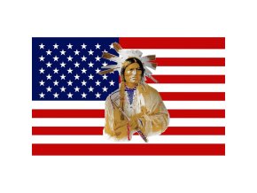 Vlajka AMERICAN INDIAN