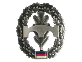 Odznak BW na baret Pionier truppe