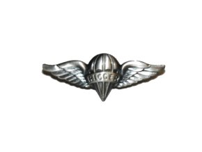 Odznak para RIGGER