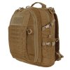 gb0304coyote