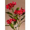 F414 R
