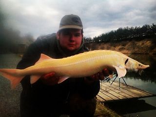 ČR - KUBŠOVKA - TESTER TOMÁŠ HABLA