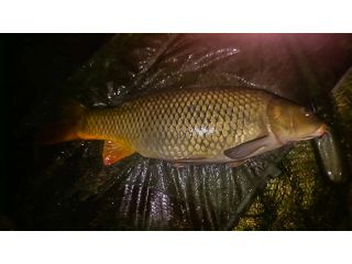 Otevření nové sezóny