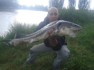 PÁRA Z NAVIJÁKU - DOMOUSNICE 29.6.2014 - TESTER JIŘÍ POKORNÝ