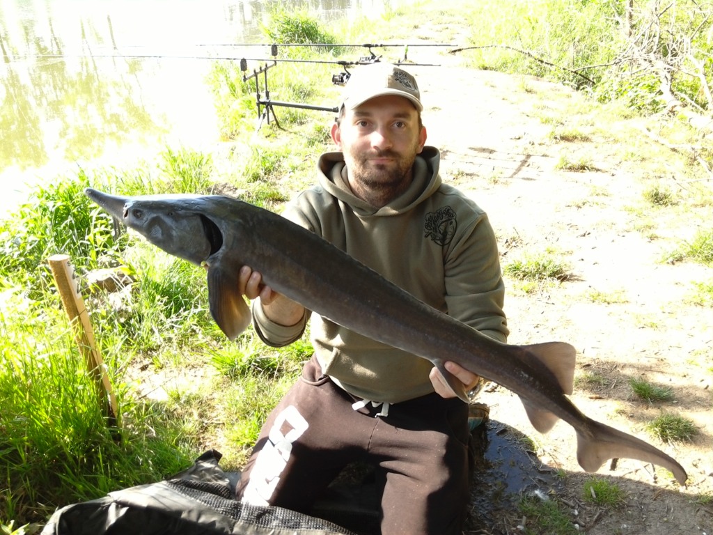 PÁRA Z NAVIJÁKU - TESTER MIROSLAV LÁTERA