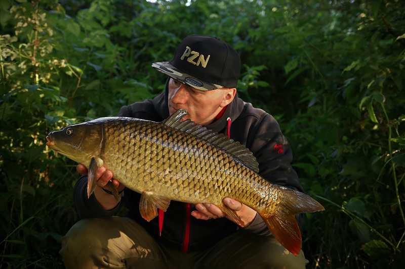 Kapřík z Vysočiny atakující K70