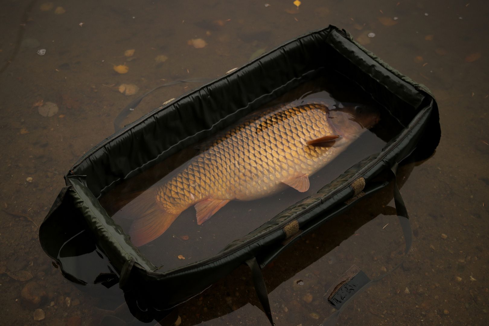 OCHUTNÁVKA Z POSLEDNÍ VÝPRAVY