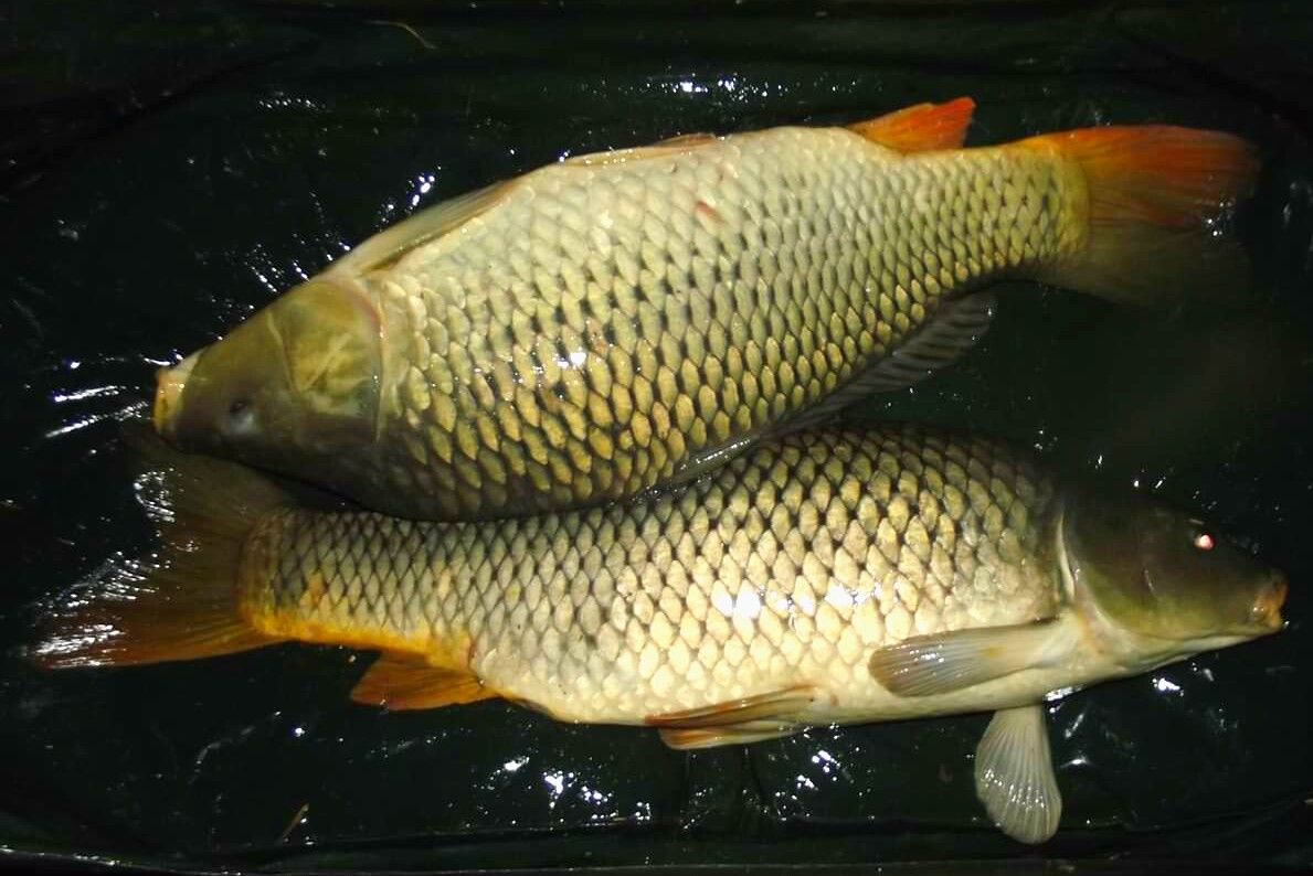 VÍKENDOVÁ VÝPRAVA