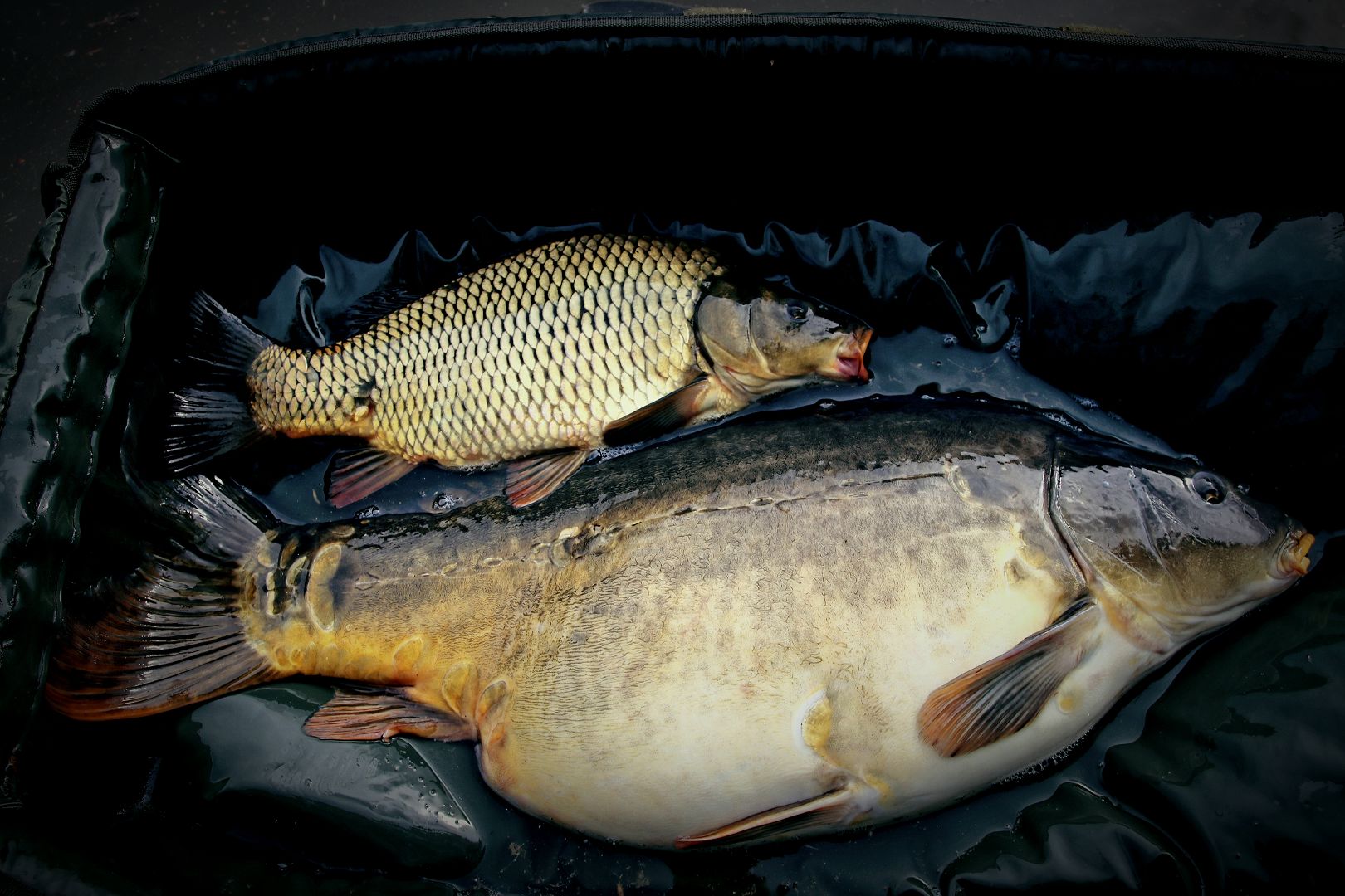 PRVNÍ LETOŠNÍ VÝPRAVA NA NOVOU LOKALITU - 1. DÍL