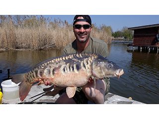 HEŘMANICKÁ SELEKCE, ANEB JAK SE PROCHYTAT K VĚTŠÍ RYBĚ