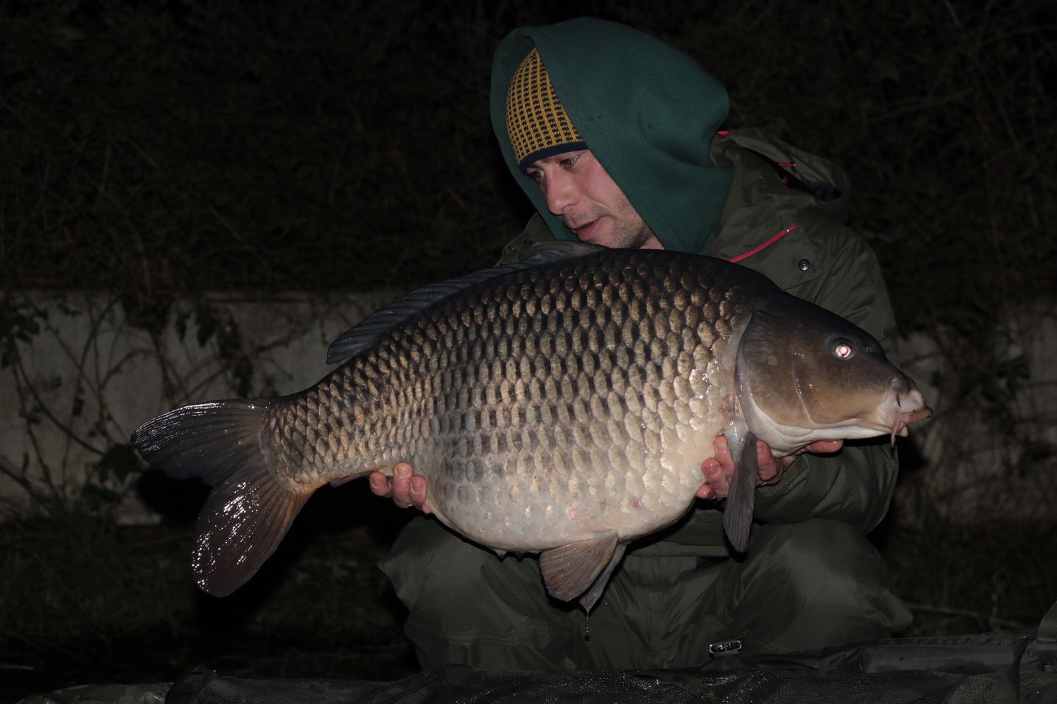 ZIMA TO BYLA POCTIVÁ