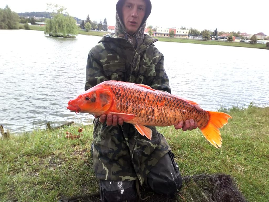 VÝPRAVA NA SOUKROMÝ RYBNÍK