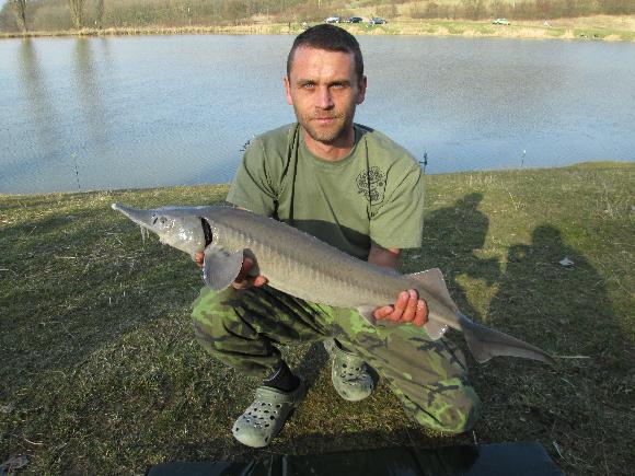 PÁRA Z NAVIJÁKU - DOMOUSNICE 14.3.-15.3.2014