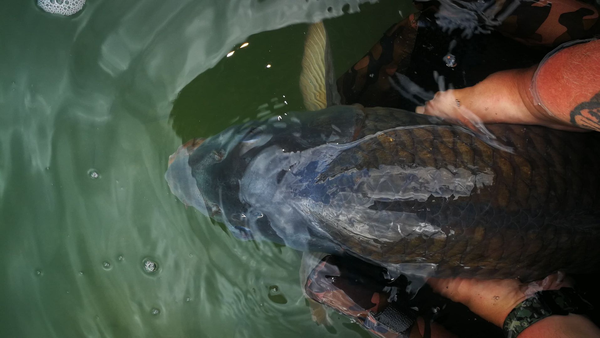 MALÁ BOMBA, VELKÝ TŘESK