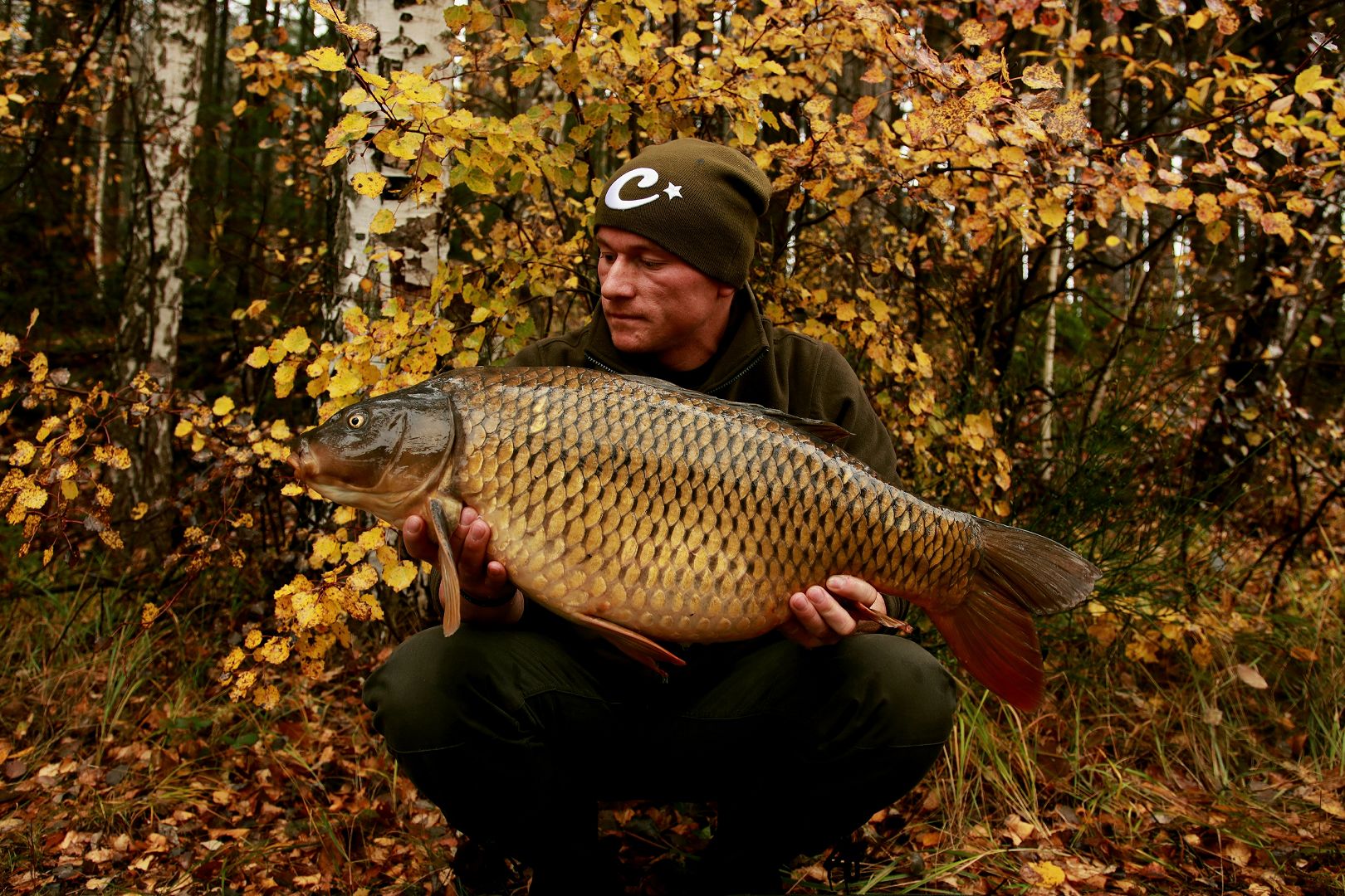 +++ V BARVÁCH PODZIMU +++ …POKRAČOVÁNÍ