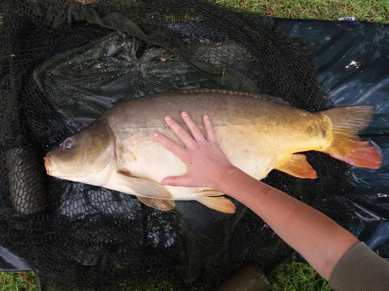 PRVNÍ ZKUŠENOST S PÁROU