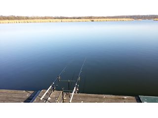 ČR - JARNÍ CHYTAČKA