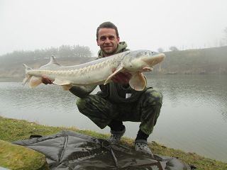 KUBŠOVKA 29.12.-3.1.2016 - TESTER MIROSLAV FIEDLER