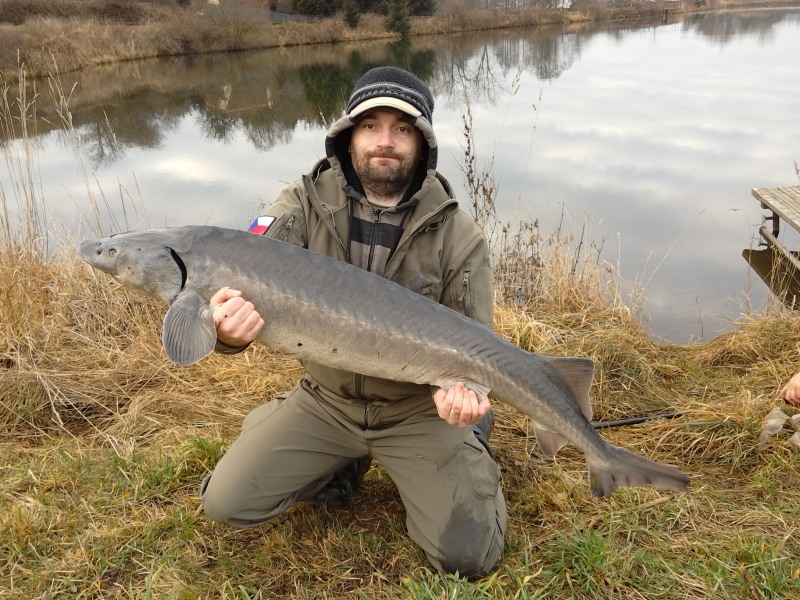 KAMENICE - TESTER MÍRA LÁTERA
