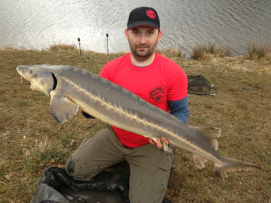 ČR - REVÍR KAMENICE