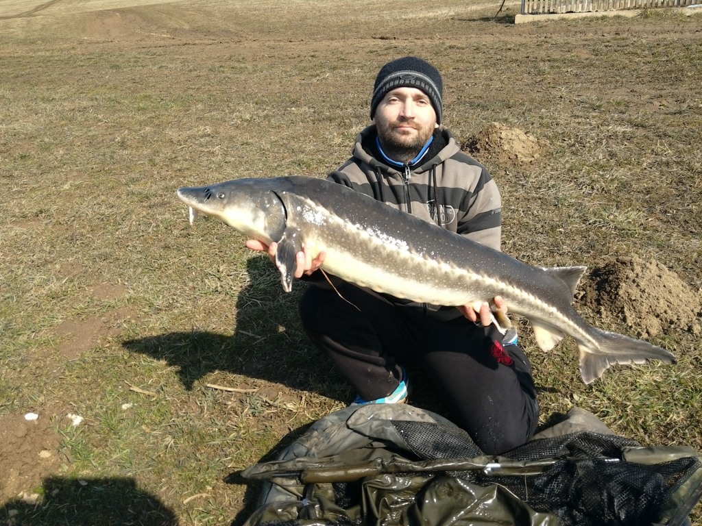 ČR - REVÍR KAMENICE