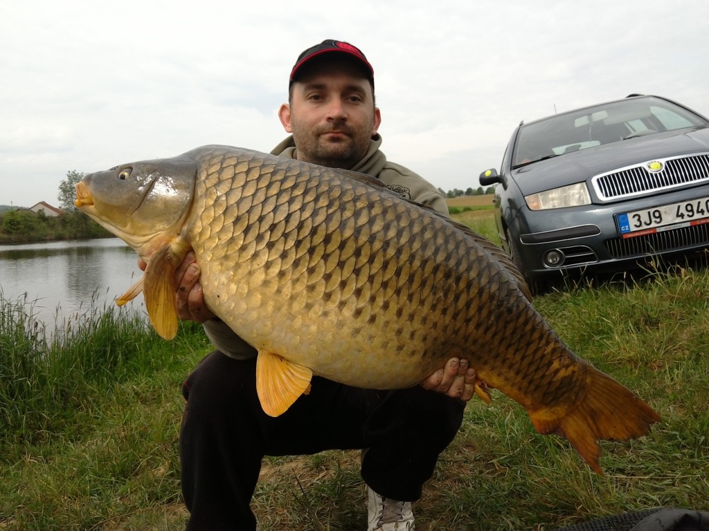 ČR - REVÍR KAMENICE