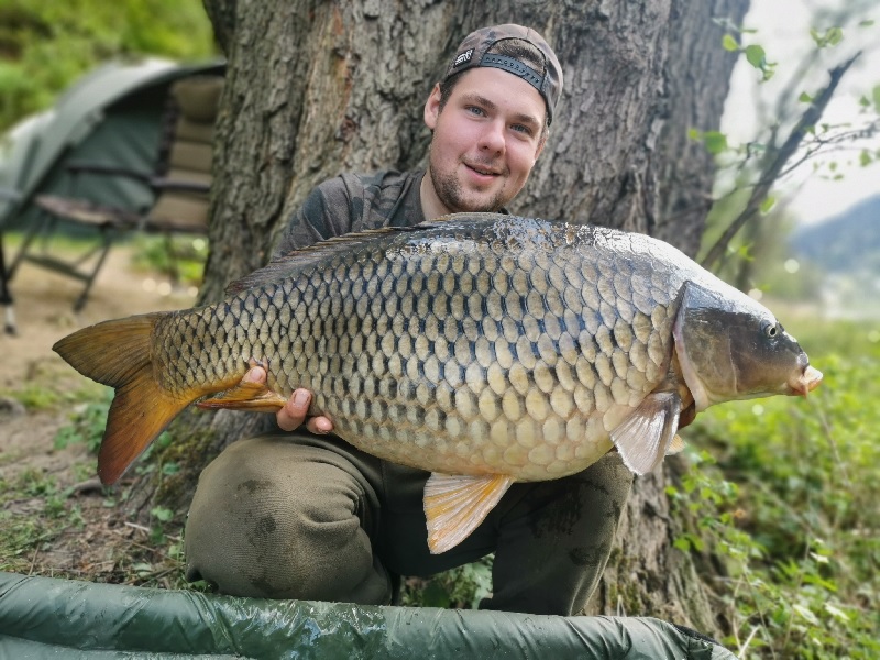 GLM KOŘENÍ a jeho test na Labi dopadl na jedničku