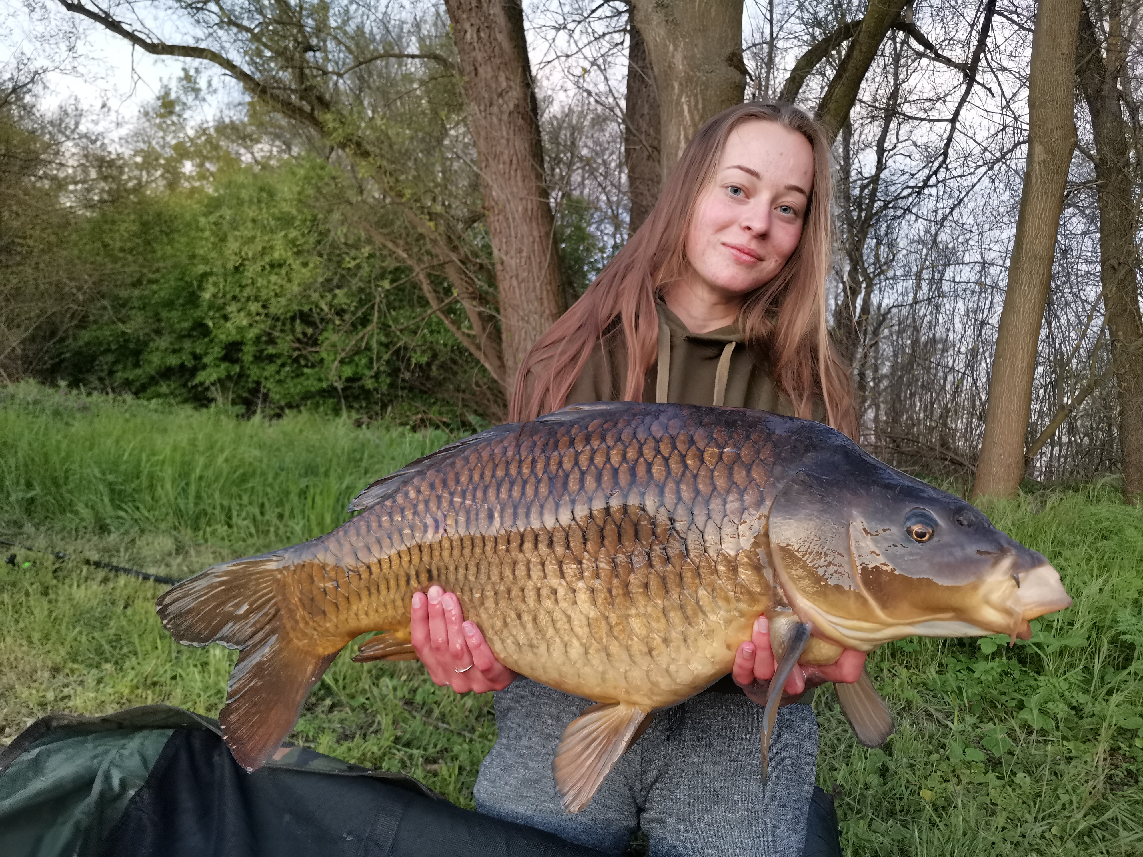 Jeden labský krasavec