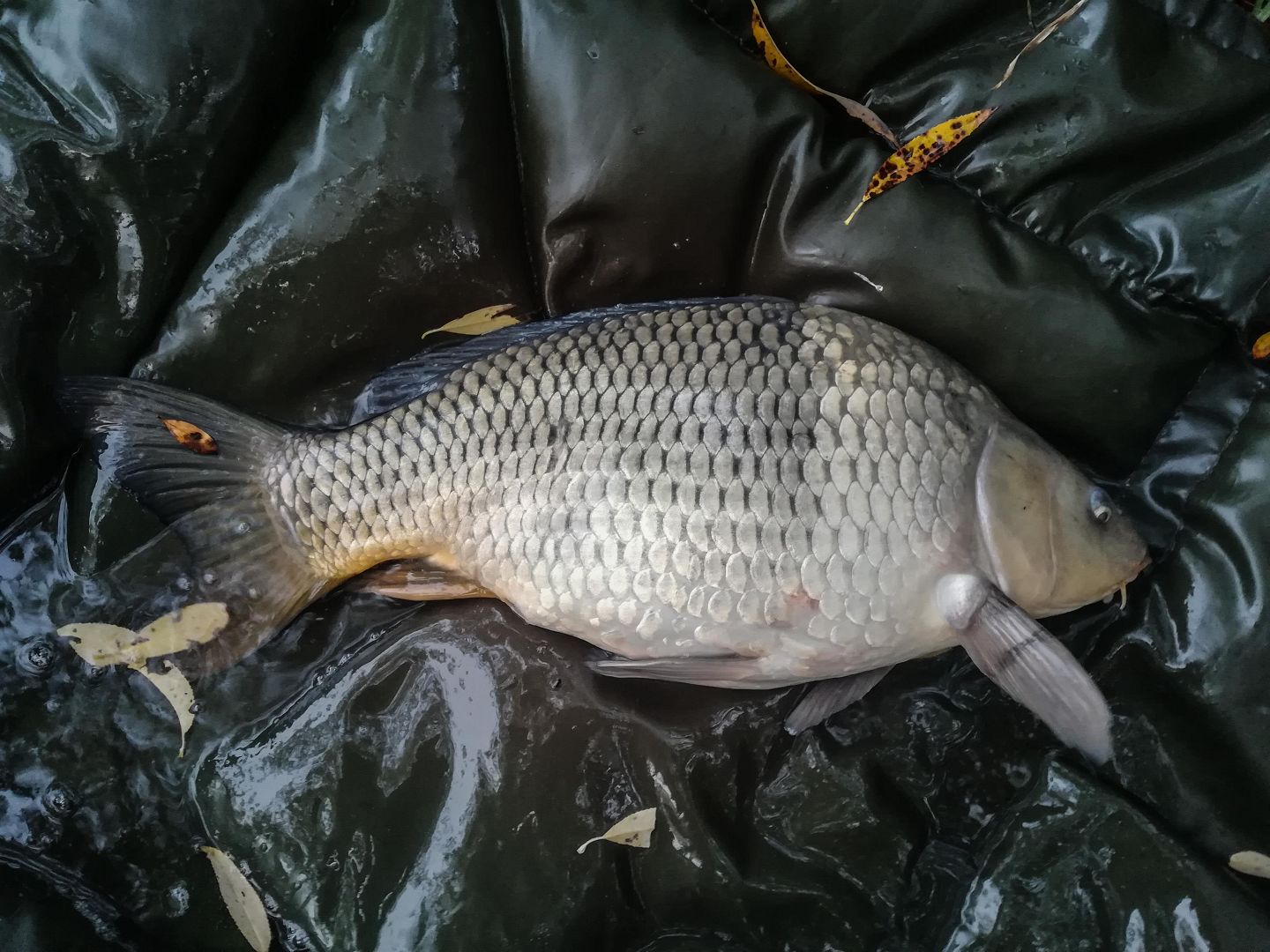 SUPER MÍSTO NA LABI