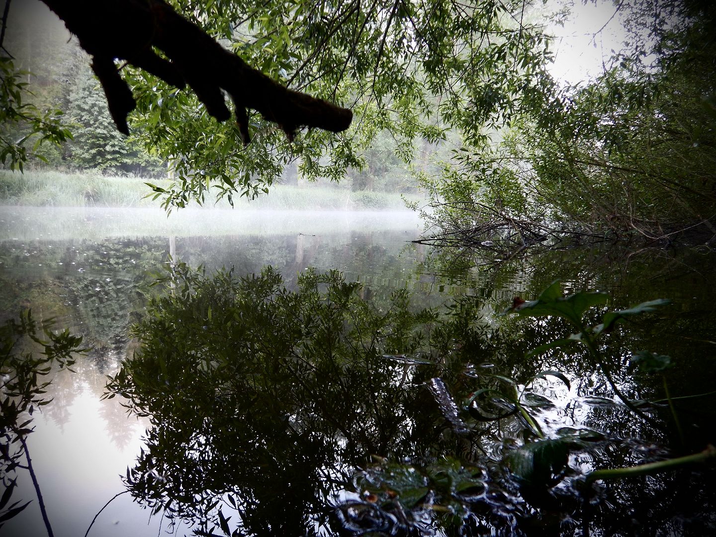 ZAČALO TO VELMI MLHAVÝM RÁNEM